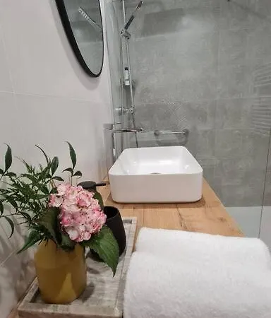 Ferienhaus Rosa De Ciudad. Centrico Con Mucha Intimidad Santander
